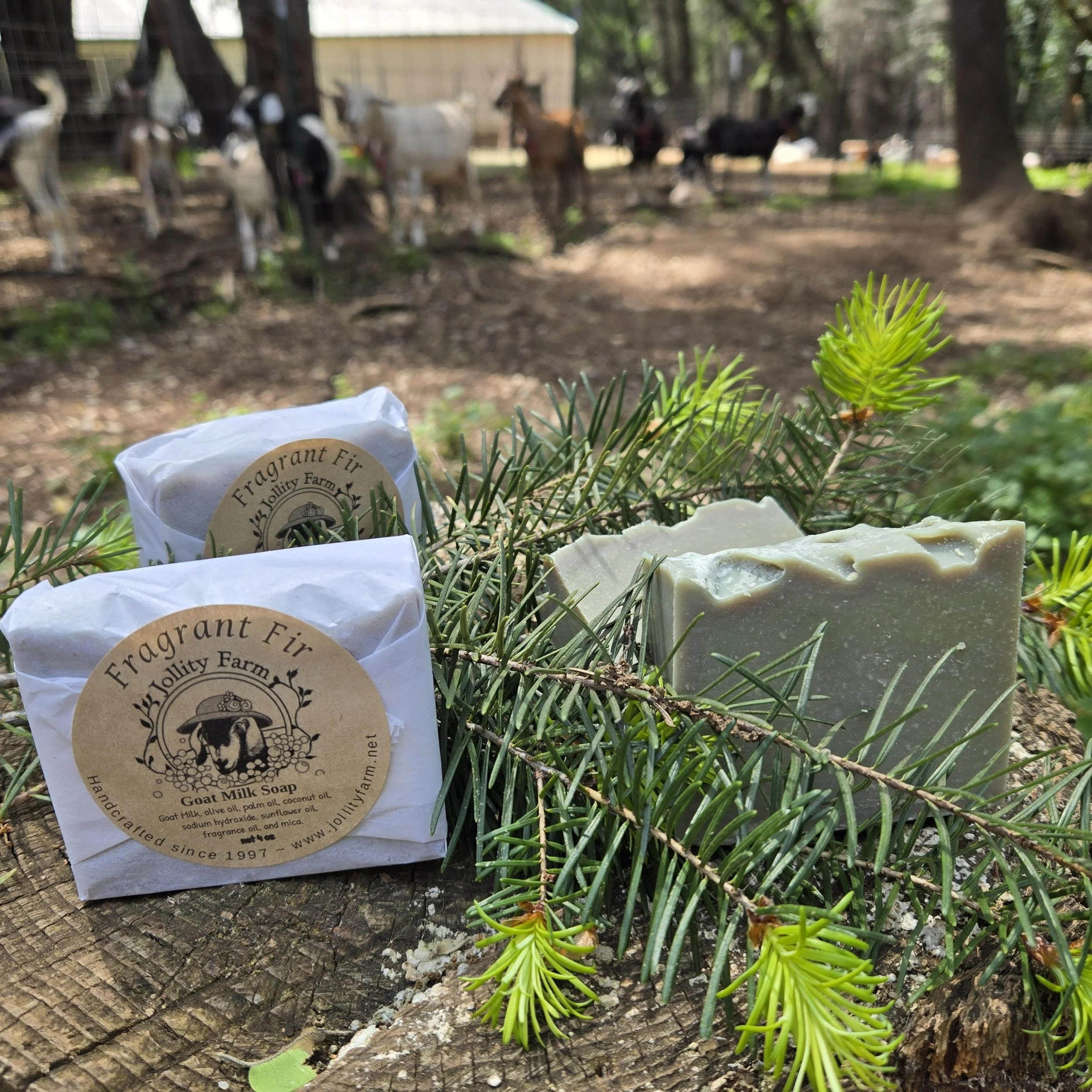 Fragrant Fir Goat Milk Soap