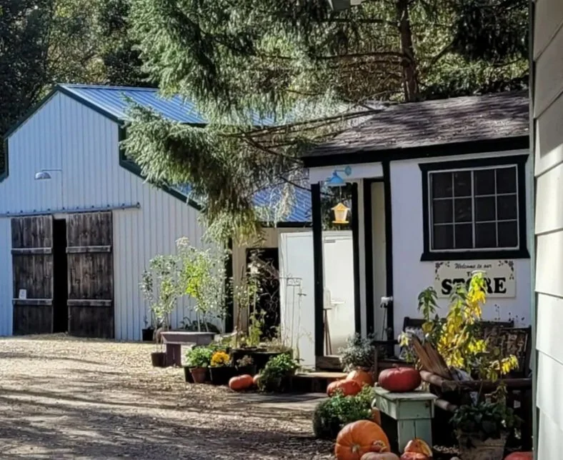 Screenshot 2024-03-22 at 15-52-48 Jollity Farm Goat Dairy (@jollity_farm_goat_dairy) • Instagram photos and videos.jpg