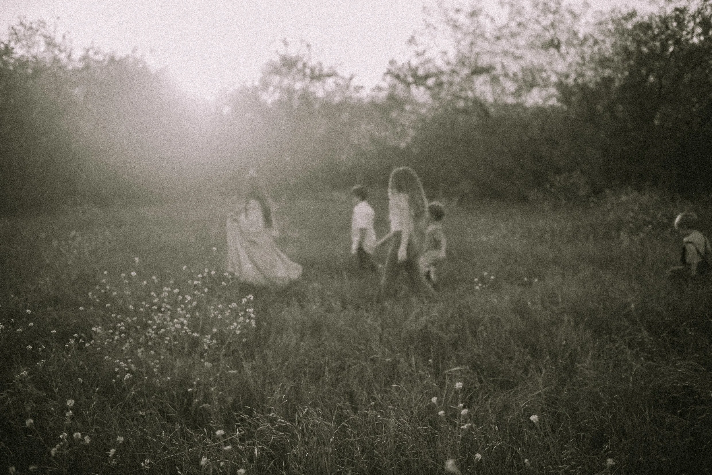 Nostalgia BW-7087.jpg