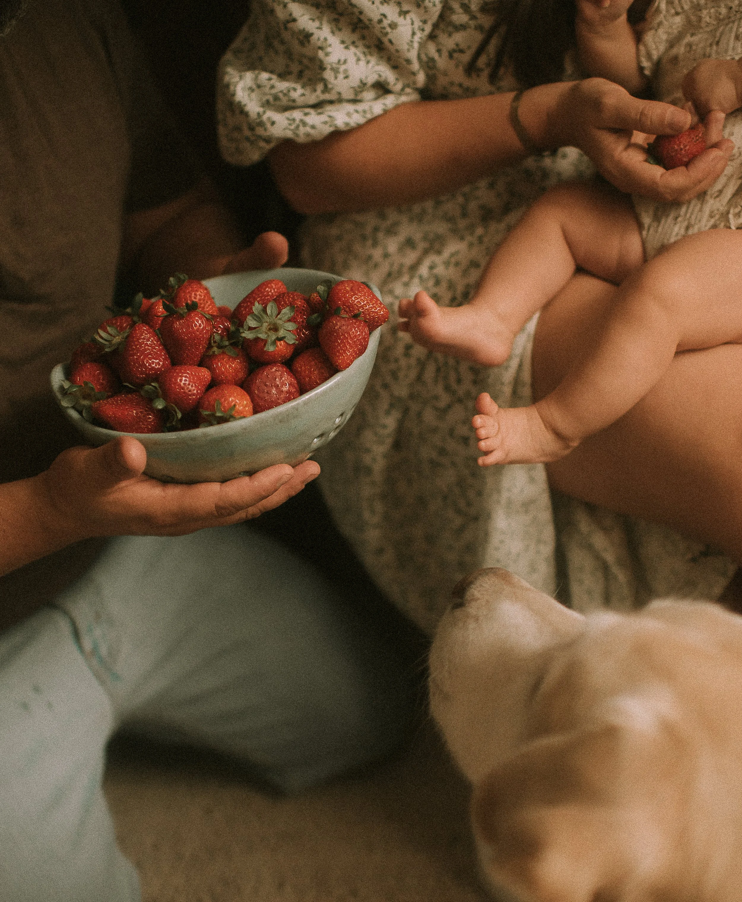 Intimate Warm Dreamy In Home Family Session