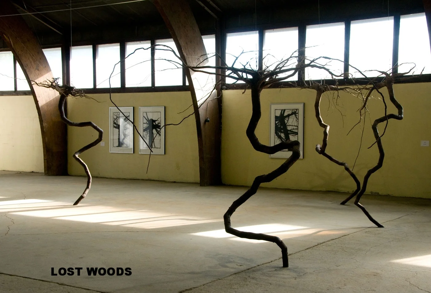  “Valfart” Installation of up-rooted, re-constructed spruce trees and “Lost Woods” Ink drawings of the shadows of the same roots as in the installation. 