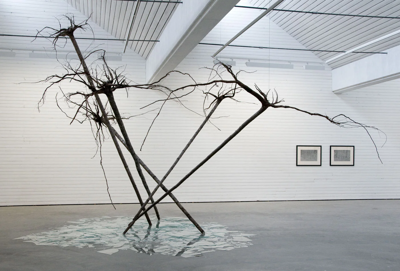 Anna_Widen_Stenebykonsthall04.jpg