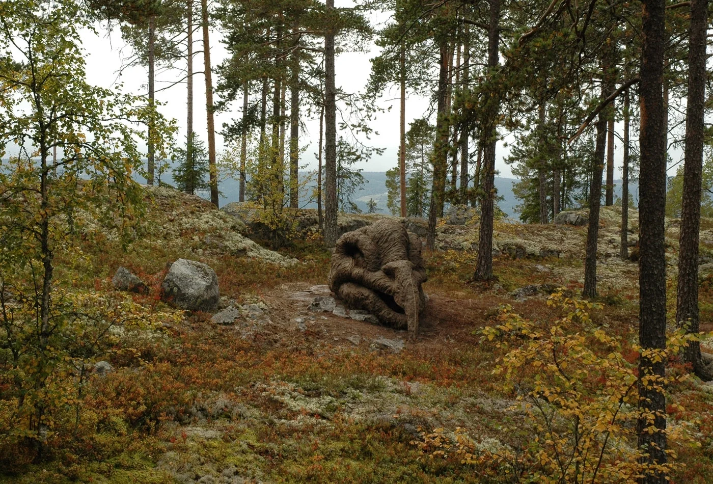 Anna_Widen_Trophy01.jpg