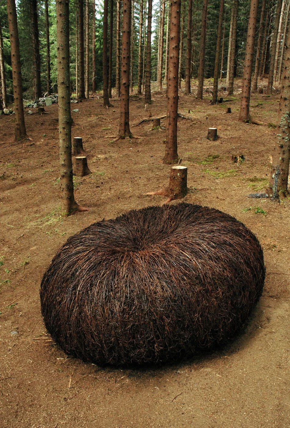 Anna_Widen_Guldenskog01.jpg