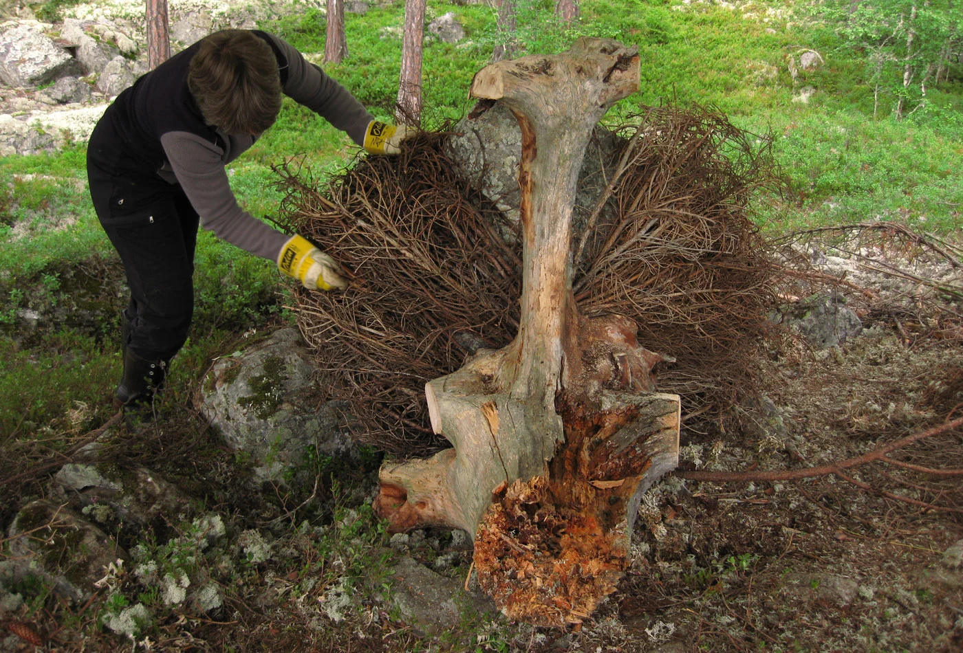 Anna_Widen_Trophy_making10.jpg