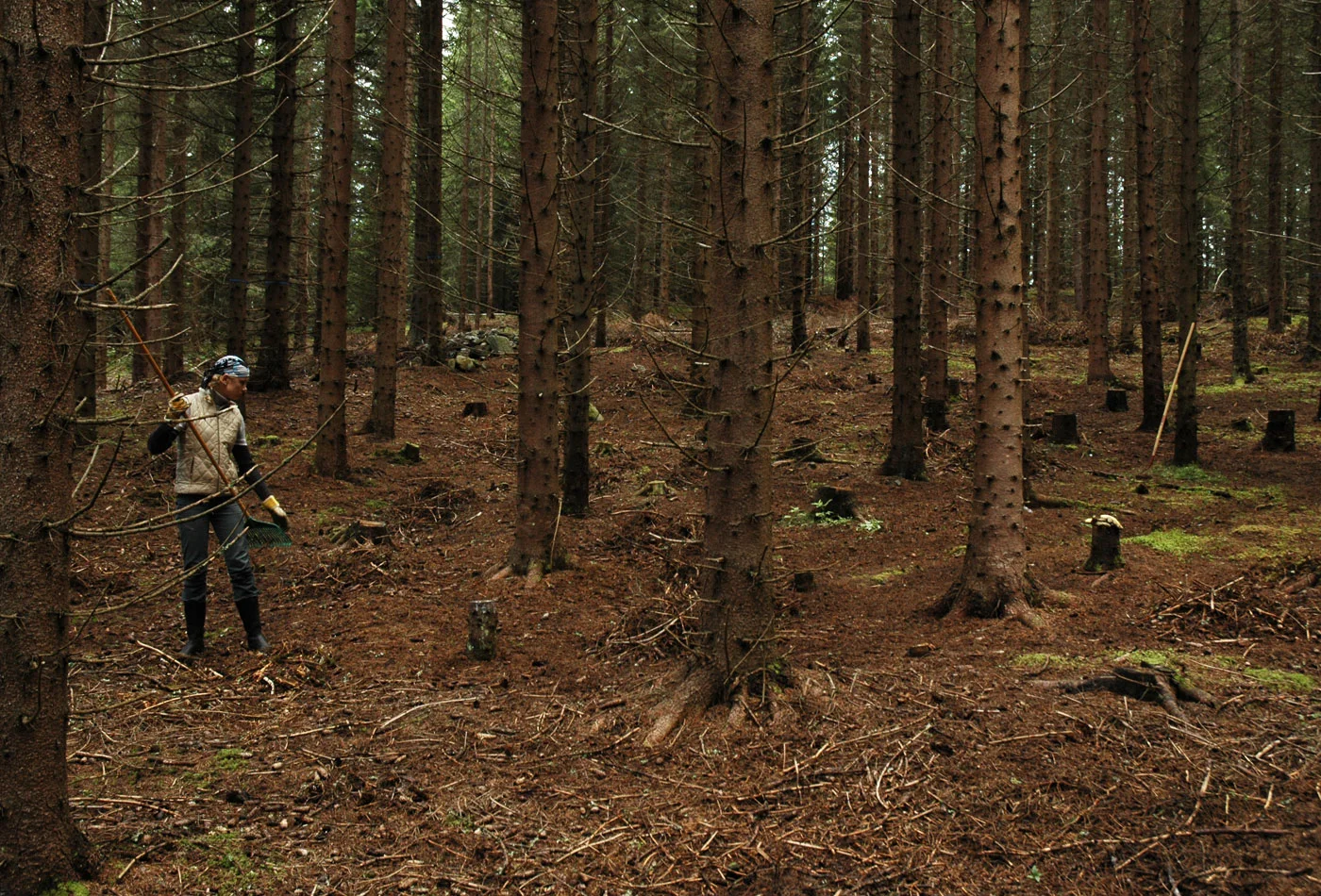 Anna_Widen_Guldenskog_making02.jpg