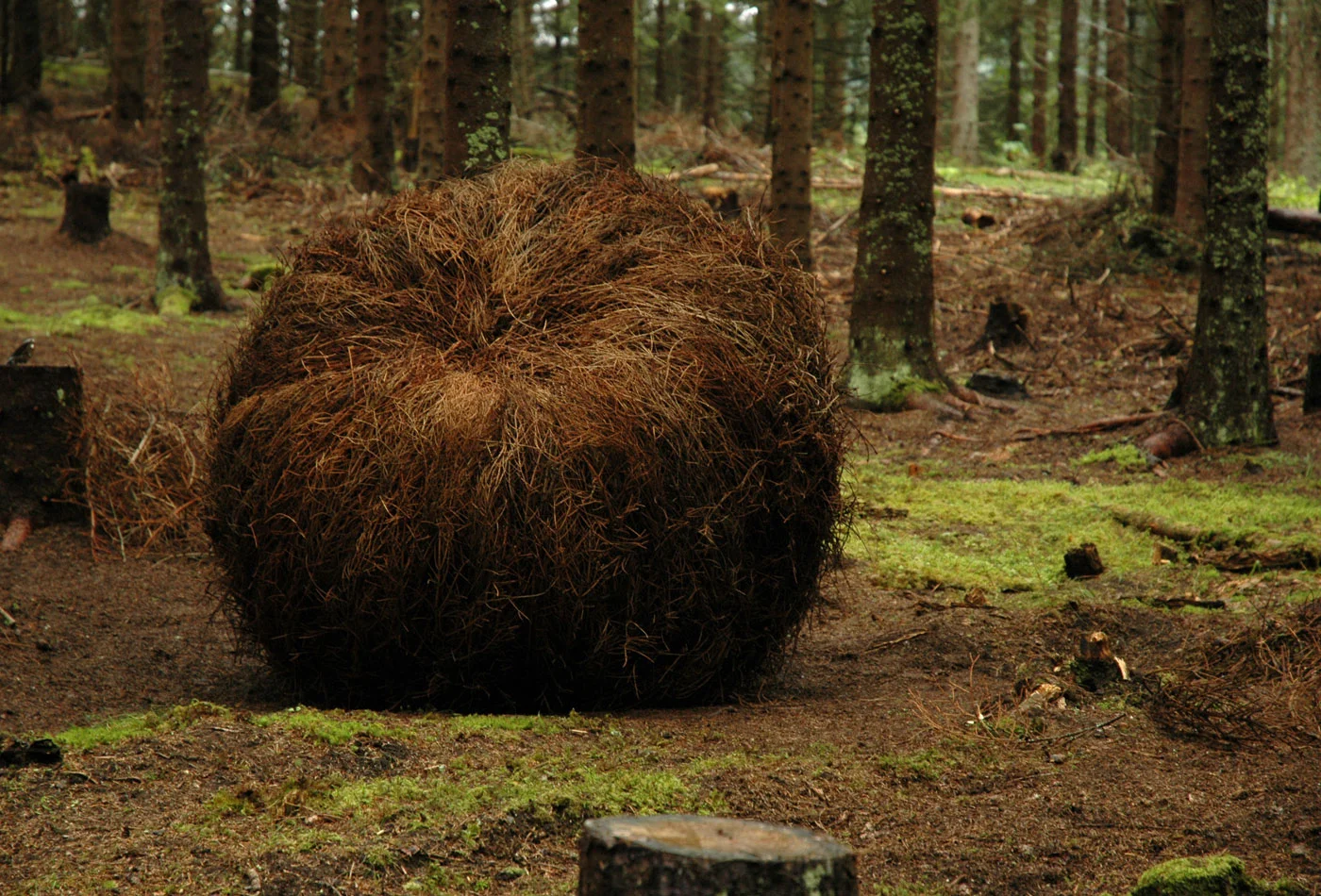 Anna_Widen_Guldenskog_making10.jpg