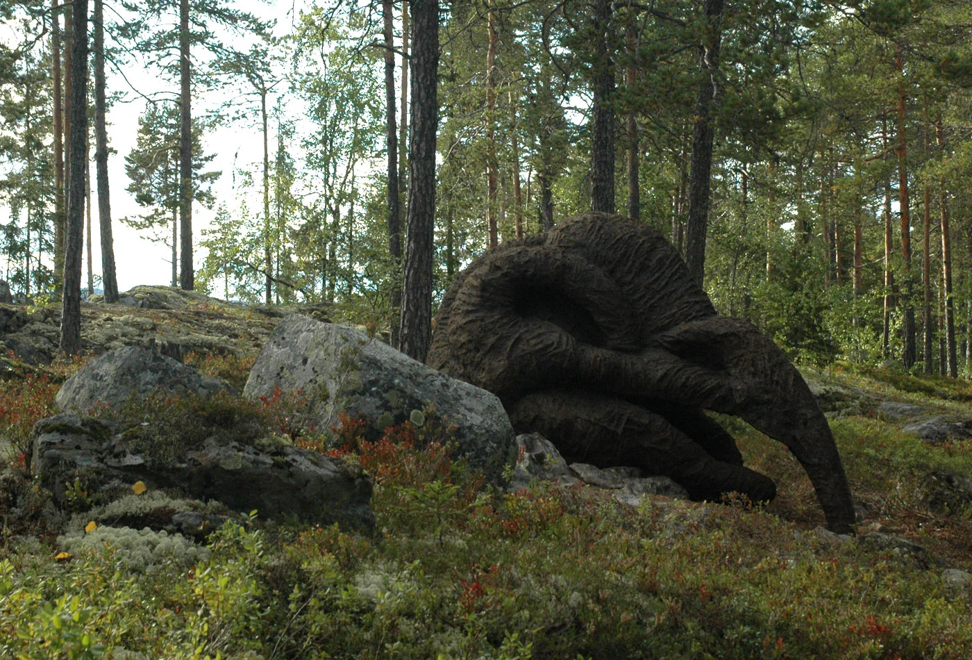 Anna_Widen_Trophy07.jpg