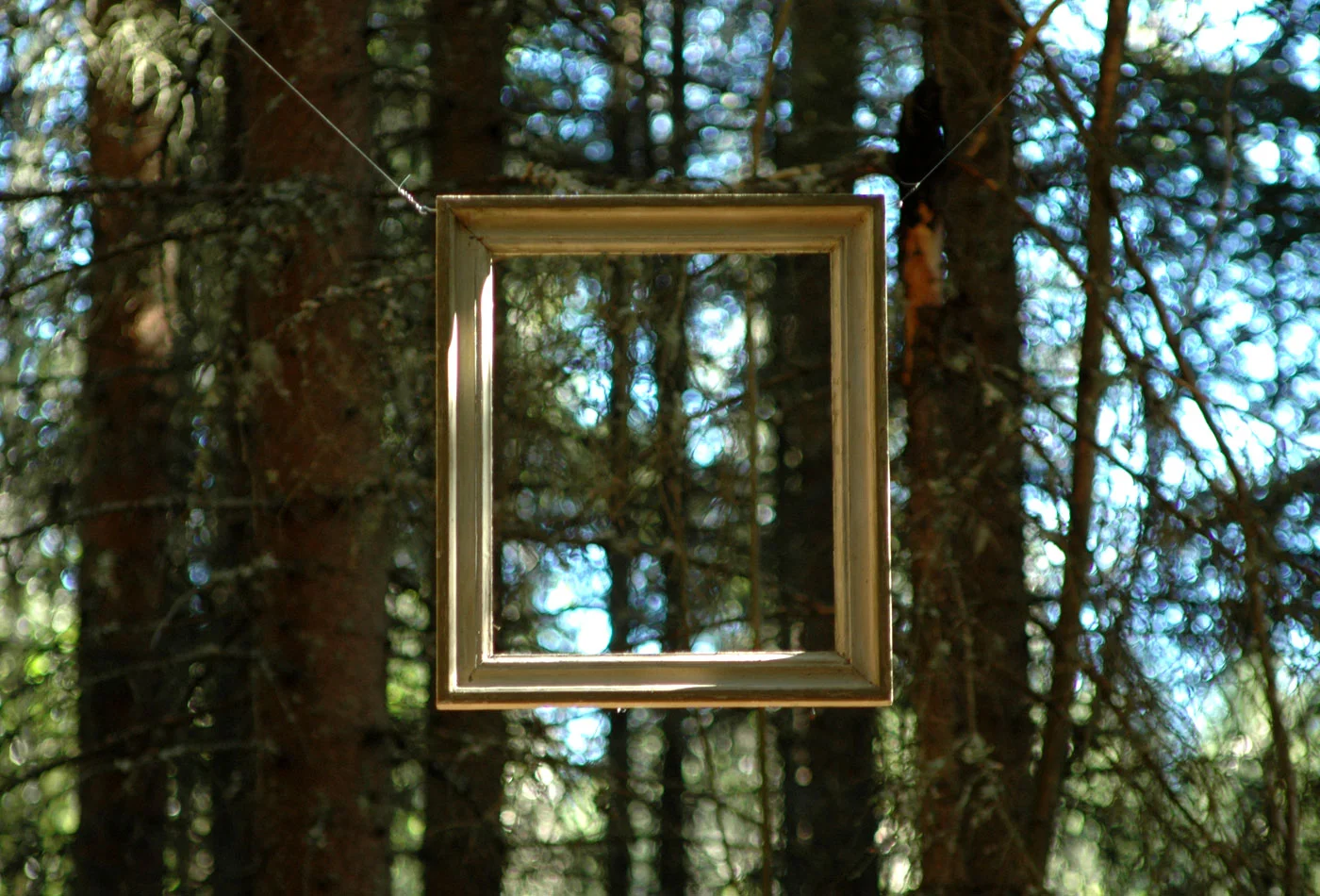 Anna_Widen_Framing.jpg