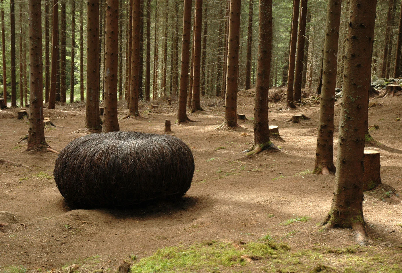 Anna_Widen_Guldenskog03.jpg