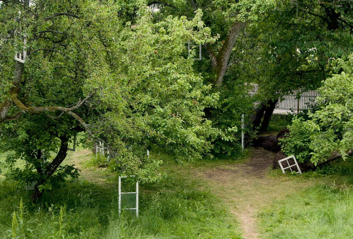 Anna_Widen_Scenario08.jpg