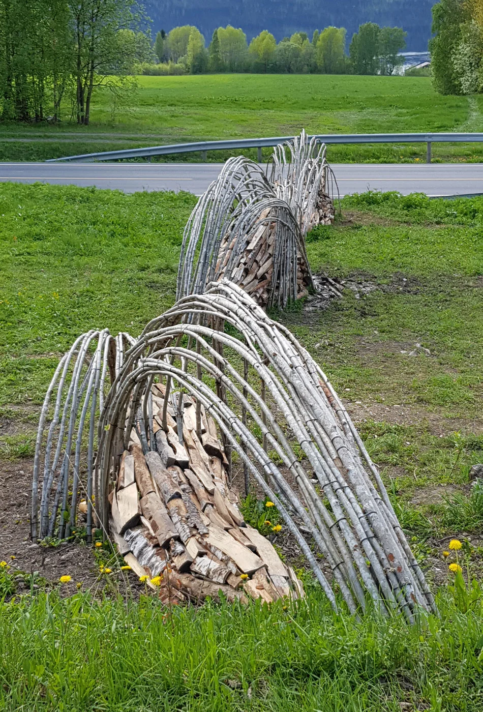 FALL Hov, Søndre land 2018. Foto: Tone Gellein