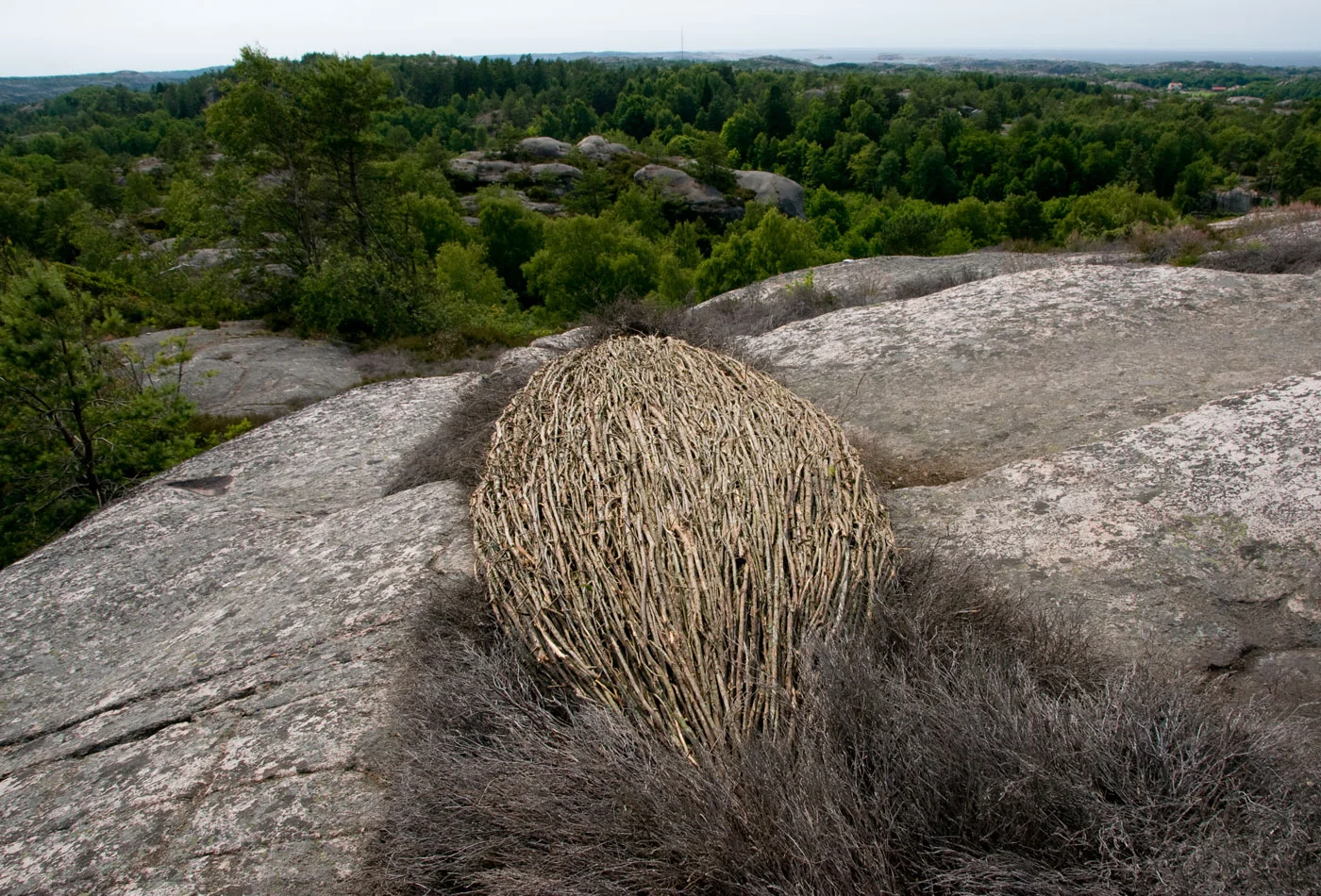 VILANDE, VÄNTANDE Bottna Land Art, Gerlesborg, Sweden 2010