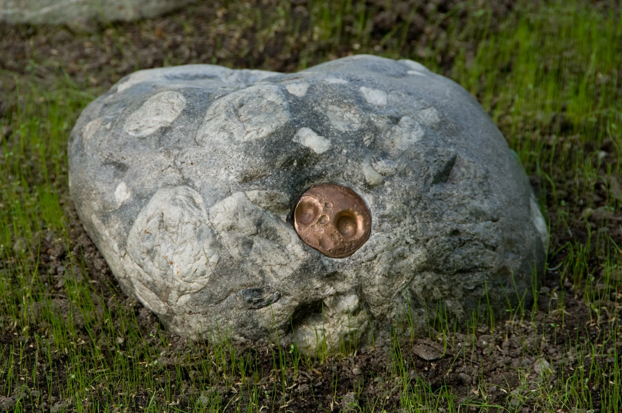 AnnaWiden_Grenseskogen_oyestein1.jpg