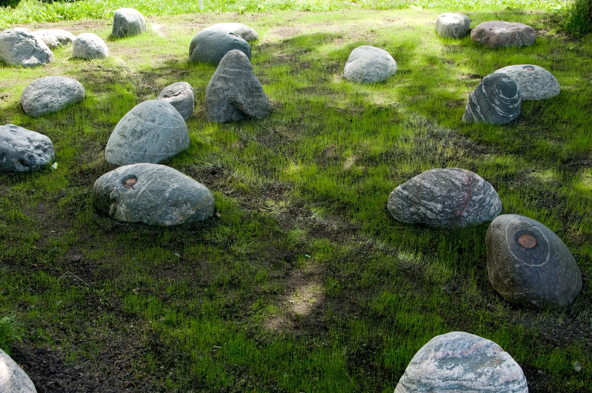 AnnaWiden_Grenseskogen_oyesteiner.jpg