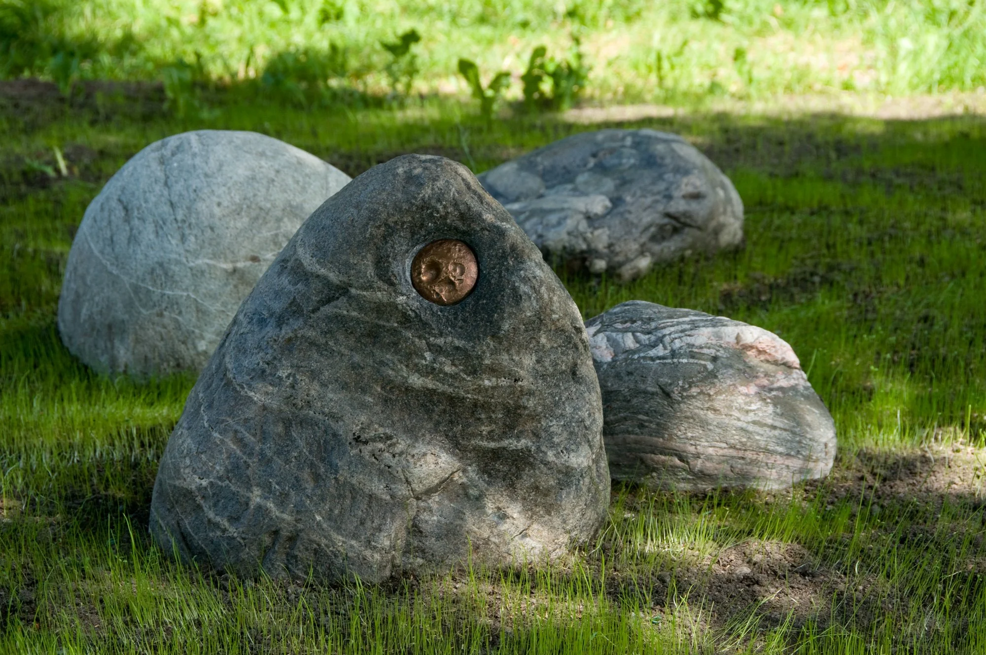 AnnaWiden_Grenseskogen_oyesteiner2.jpg