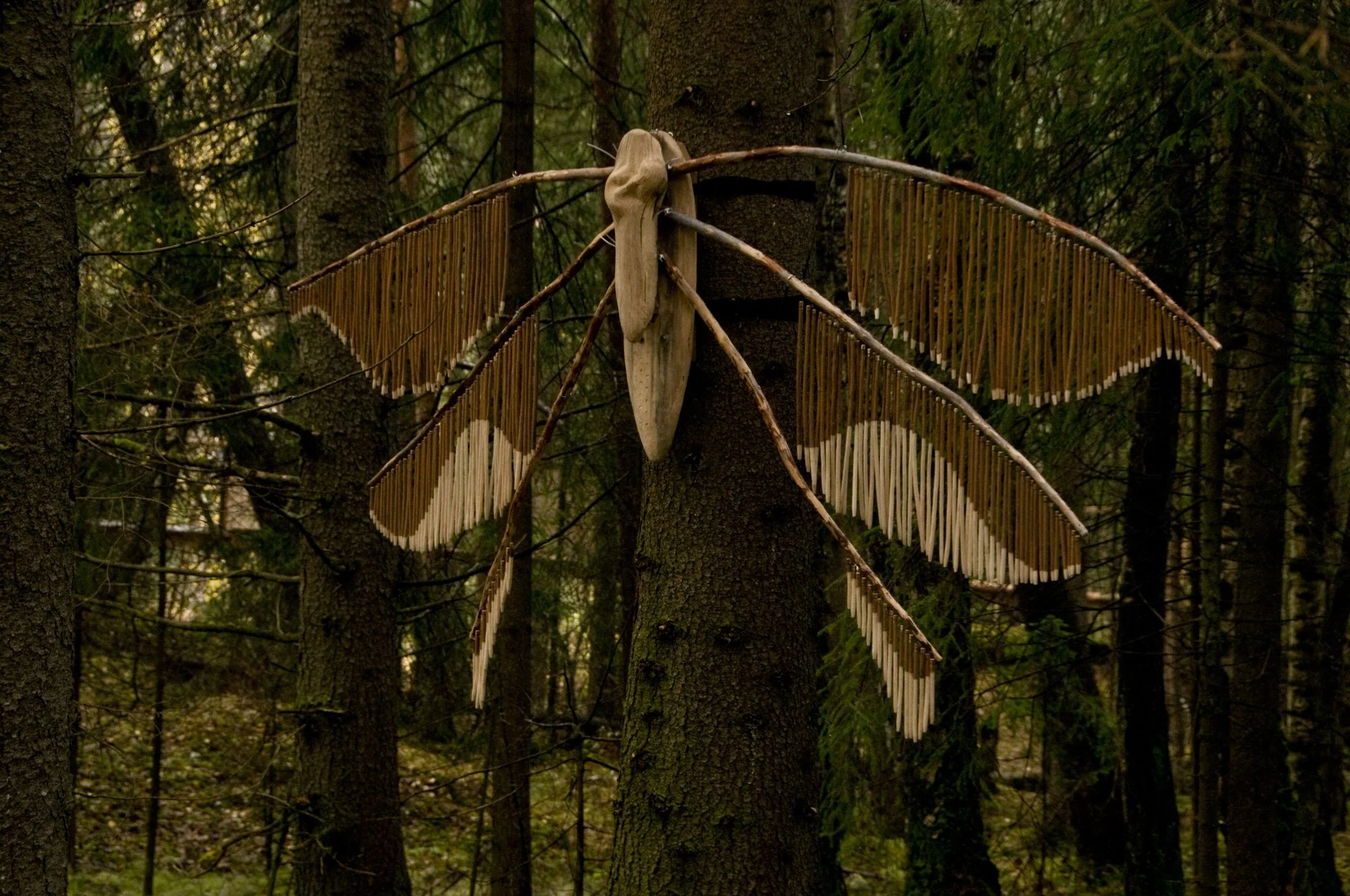 AnnaWiden_nattfly_01.jpg