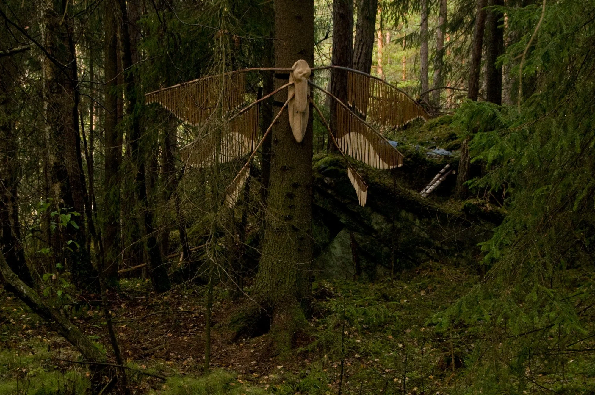 AnnaWiden_nattfly_02.jpg