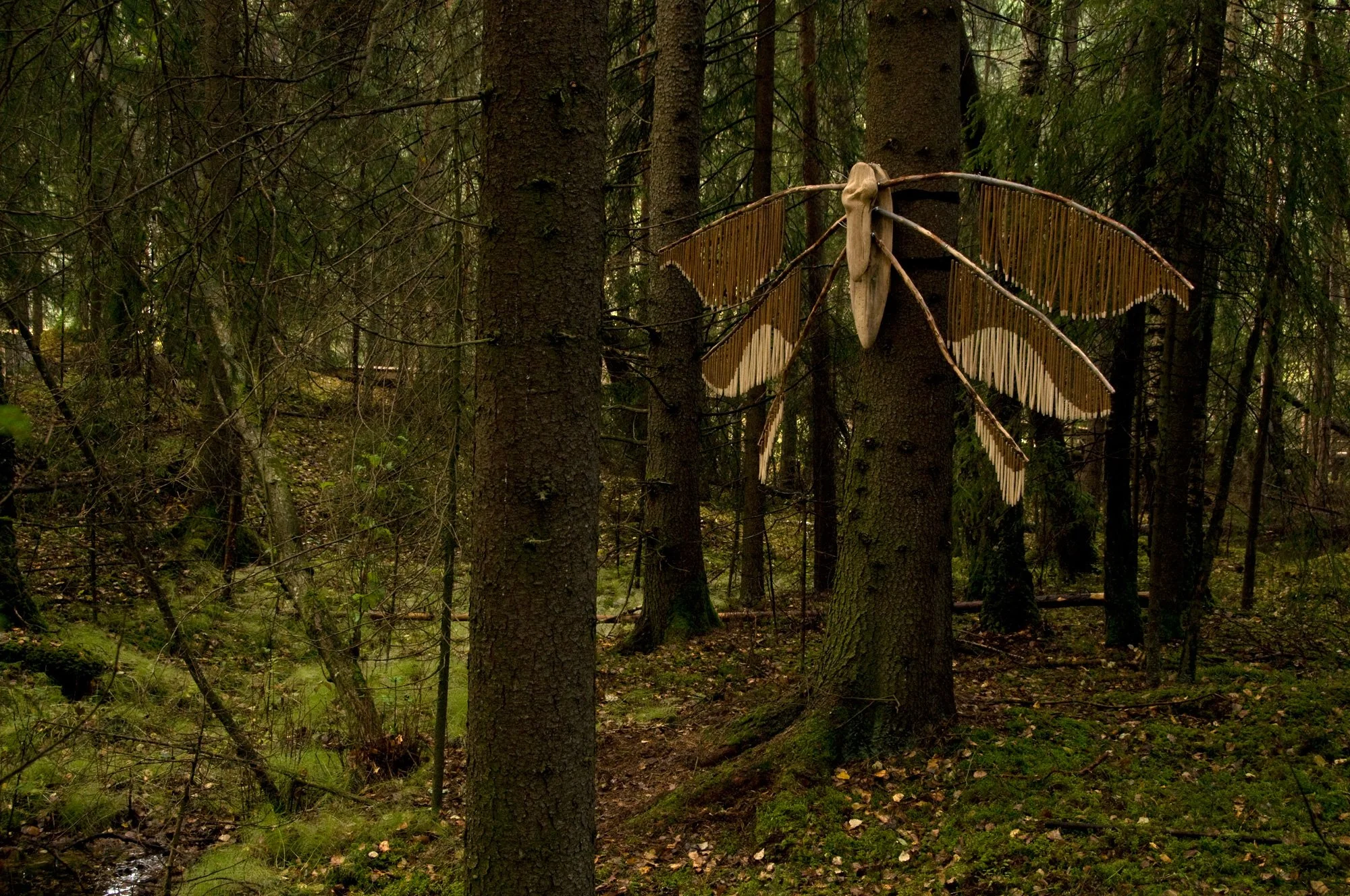 AnnaWiden_nattfly_08.jpg