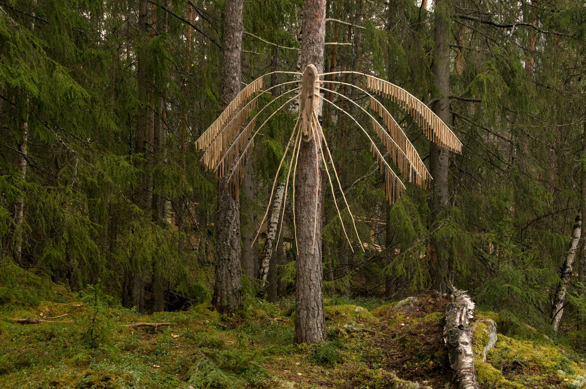 AnnaWiden_nattfly_11.jpg
