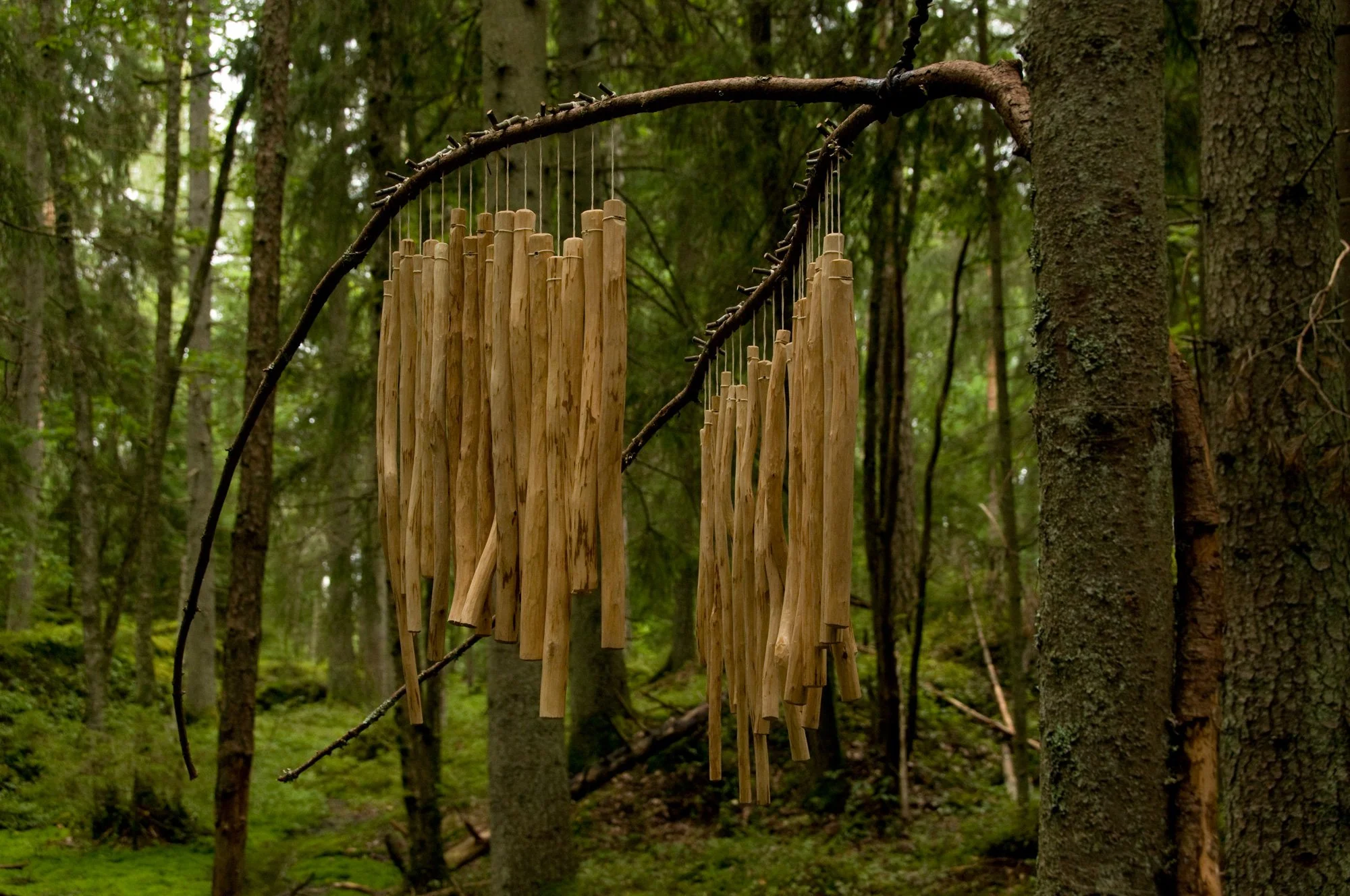 AnnaWiden_stereohealer_16.jpg