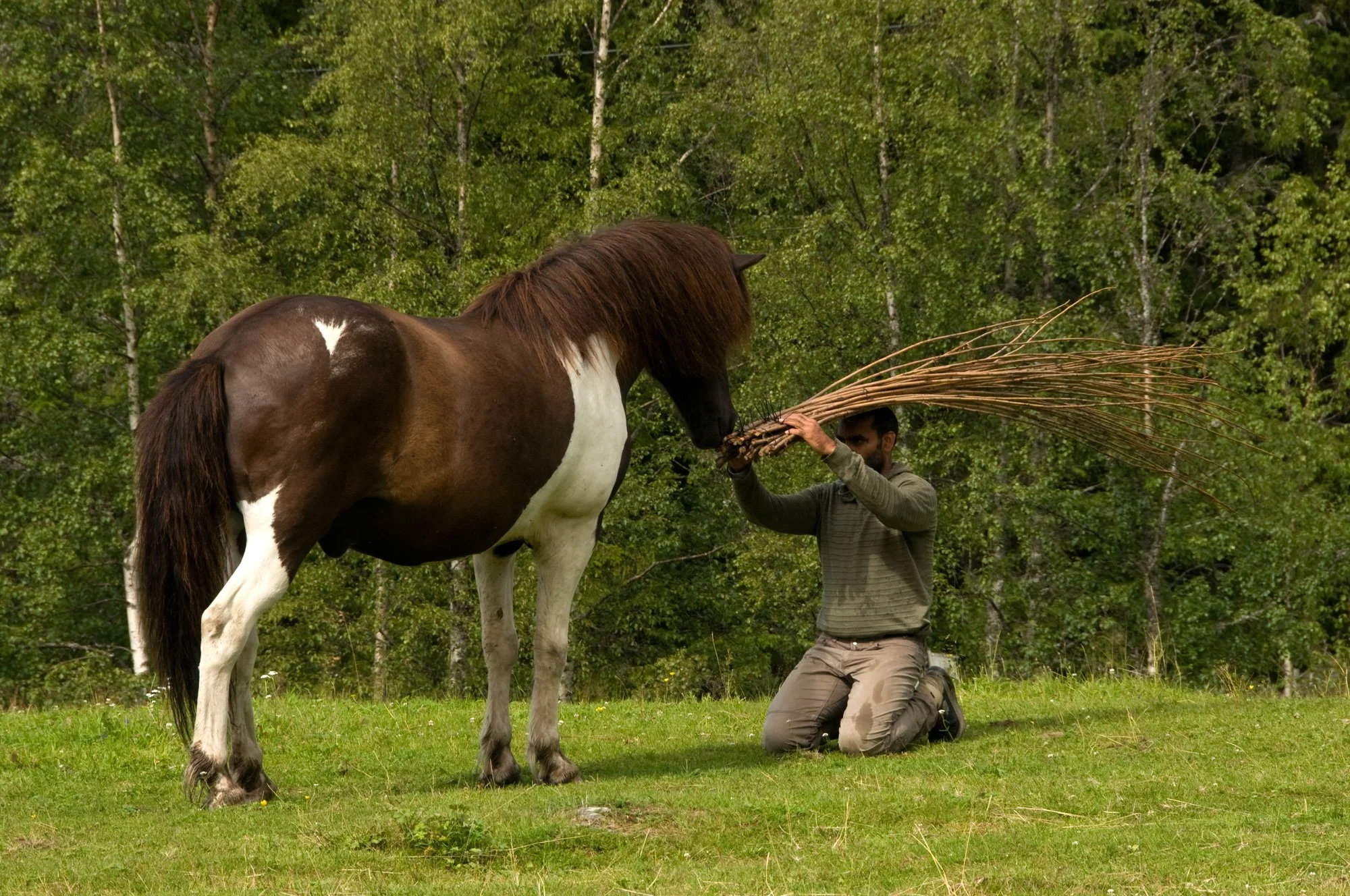 AnnaWiden_DryadesOreades_brandbu_07.jpg