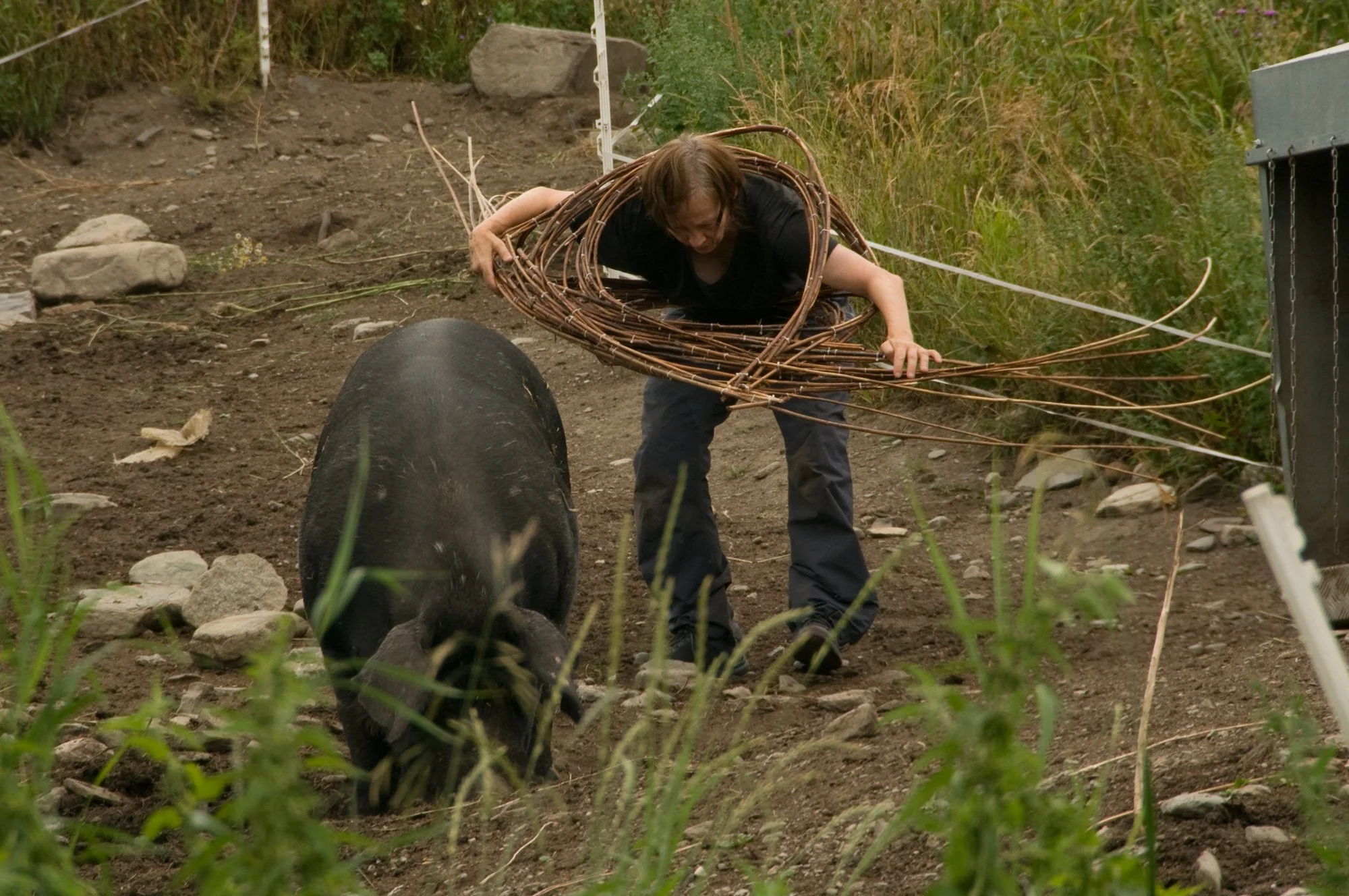 AnnaWiden_DryadesOreades_hundorp_02.jpg