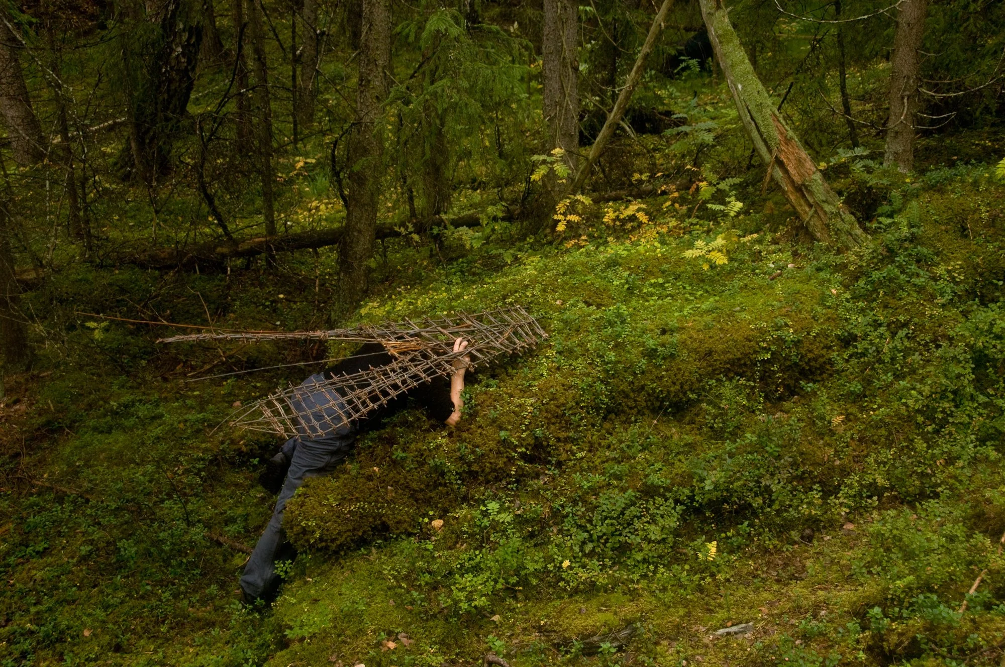 AnnaWiden_DryadesOreades_okulus_07.jpg