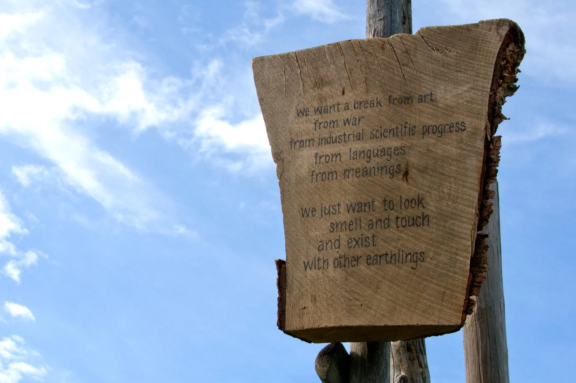 AnnaWiden_DryadesOreades_text.jpg