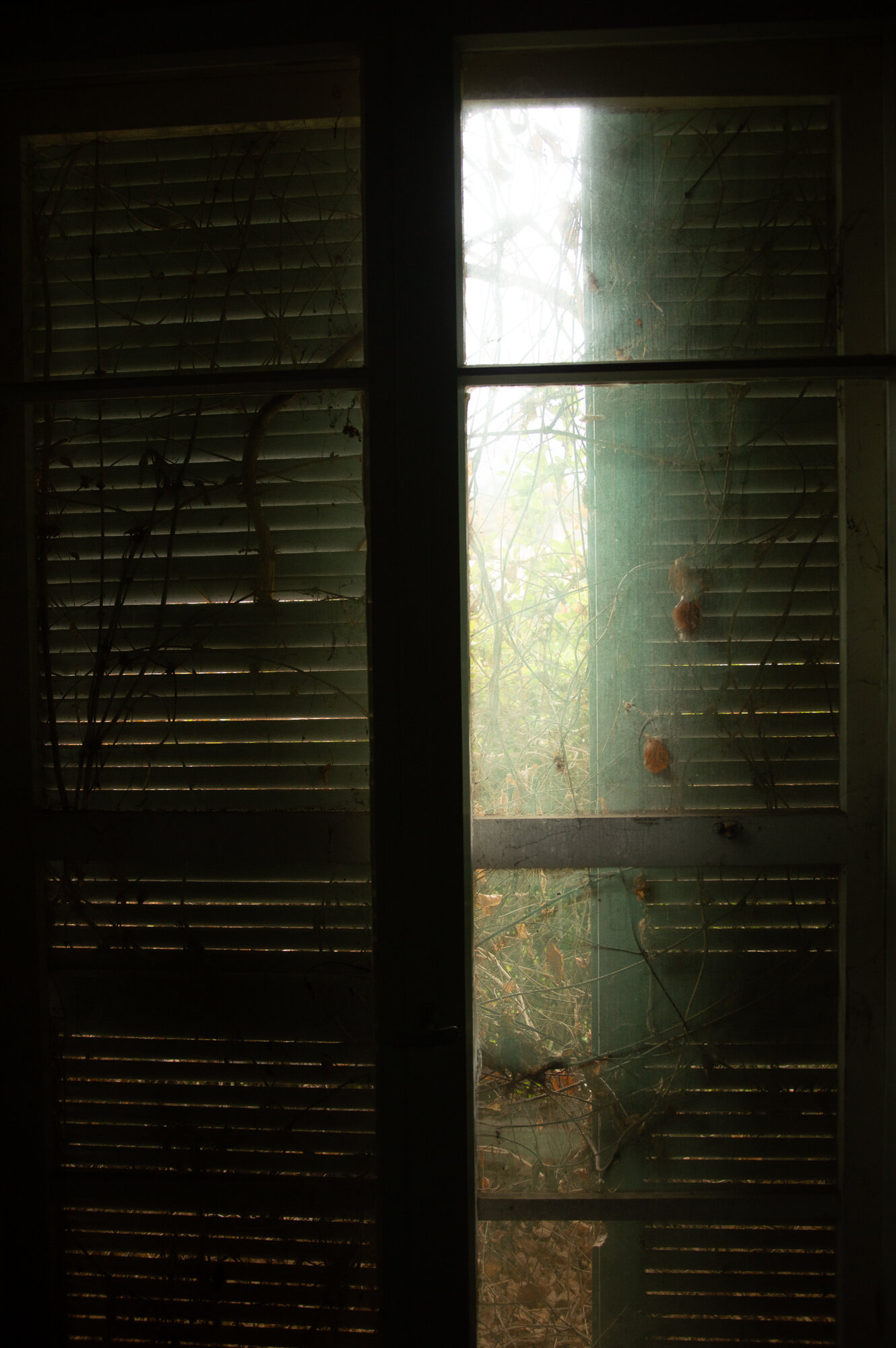 Light-3.jpg