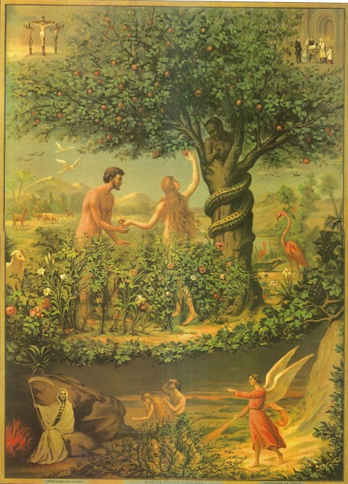 Adam & Eve & The Tree