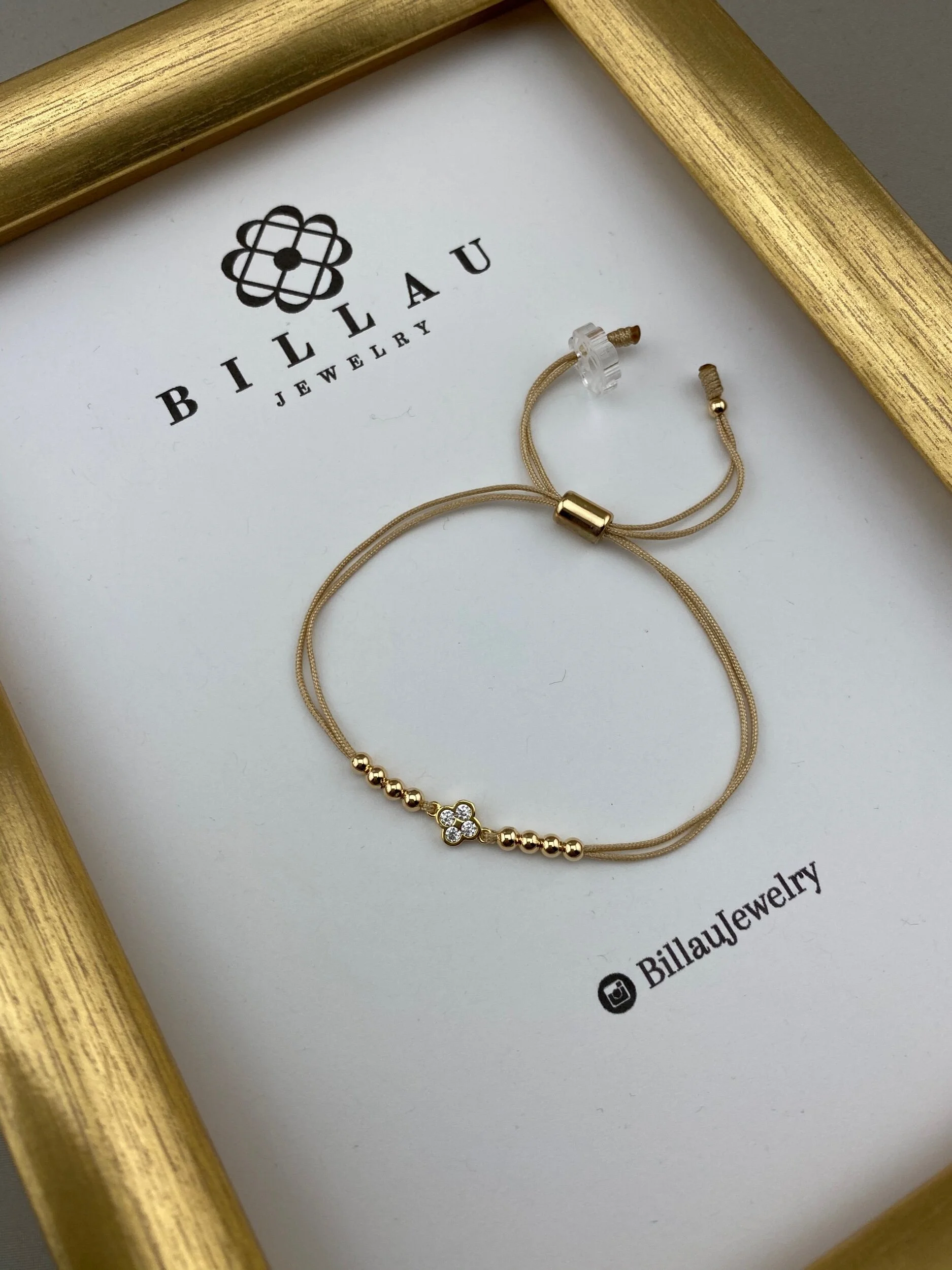 1E24B13C-462E-4AE8-8543-92A53F5D4B9B