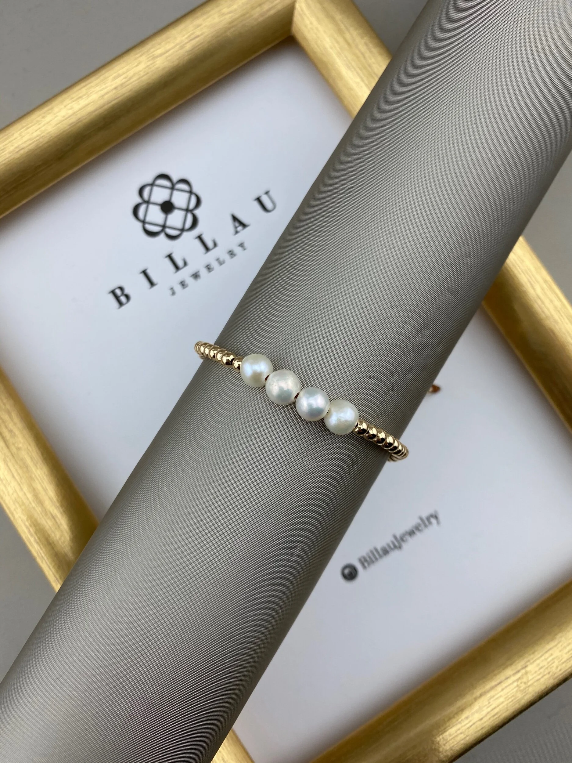 13A6B425-E1A0-4A09-B13A-C758DB8748AF