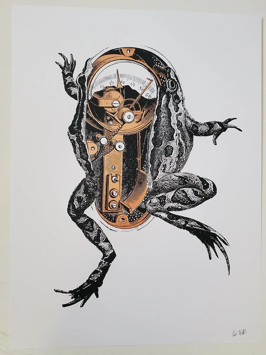 ProtoFrog2.jpg
