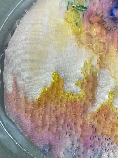Petri_Detail_2.jpg