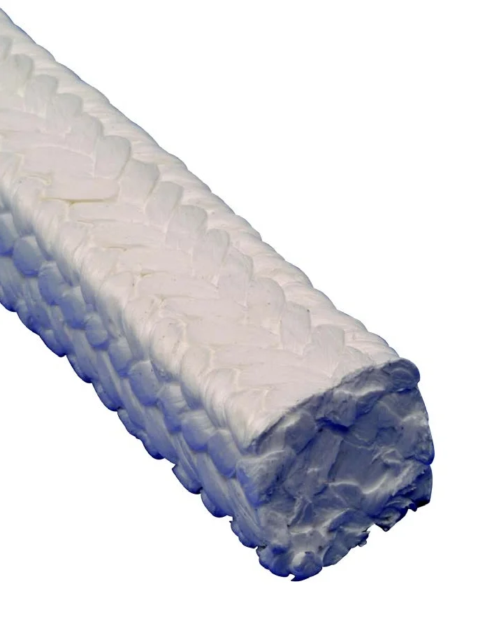 344.jpg