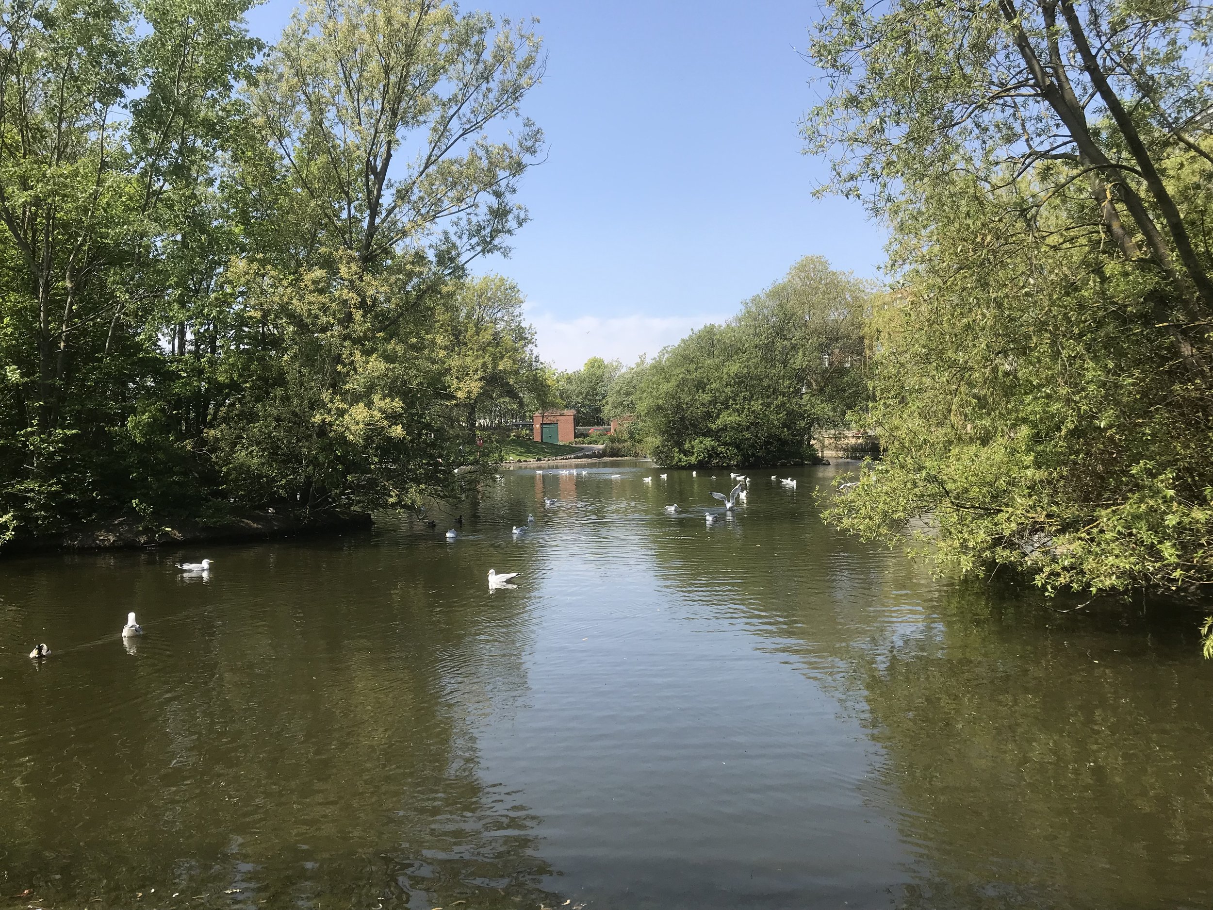 MowbrayPark.jpeg