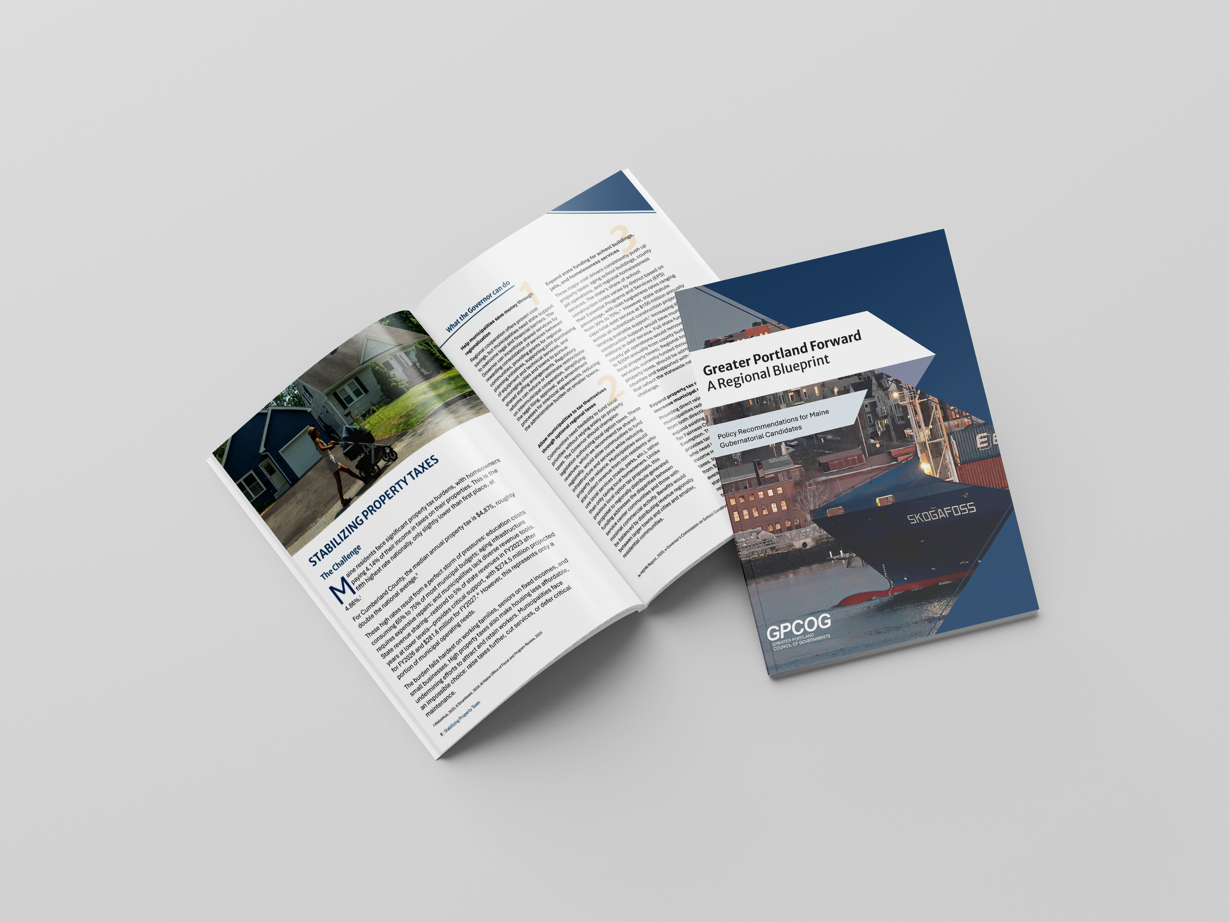 Gubernatorial Briefing Book