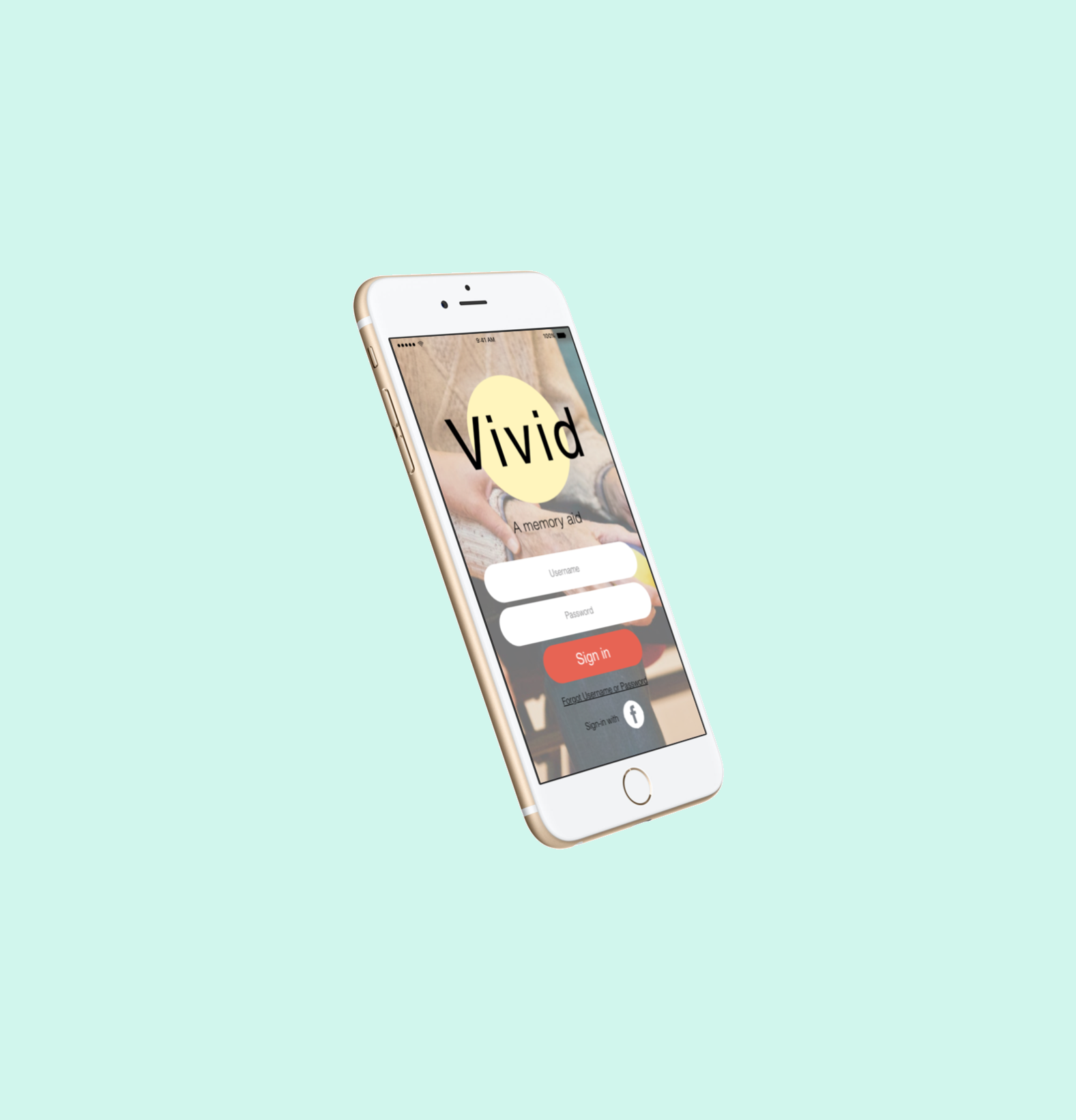 Vivid Cropped.png