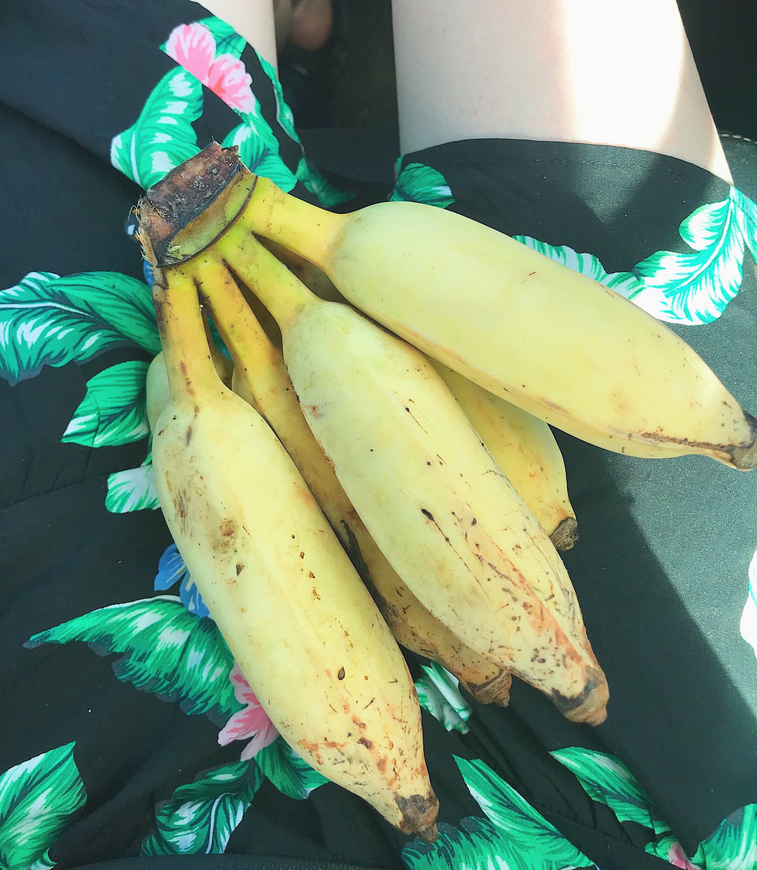 fresh fruit in hawaii.