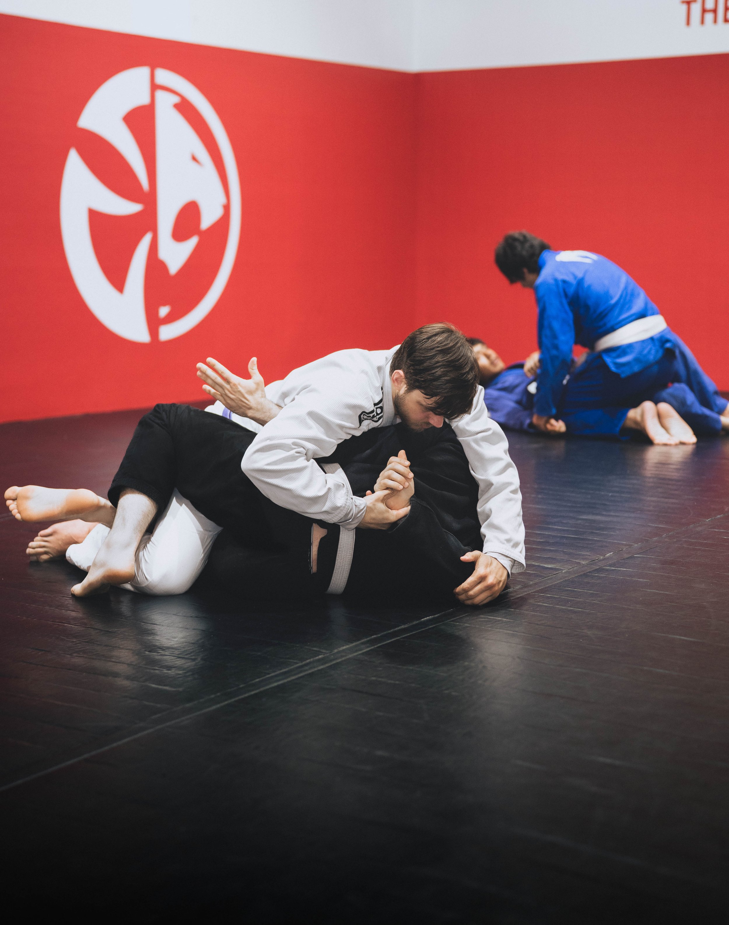 _DSC7282-Edit.jpg