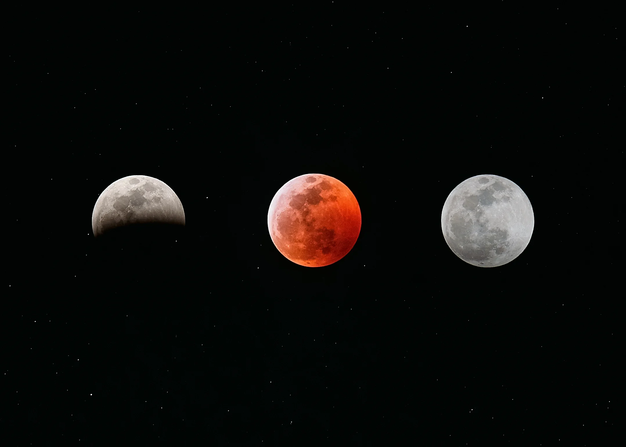 2019_January_Eclipse_Phases-2.jpg