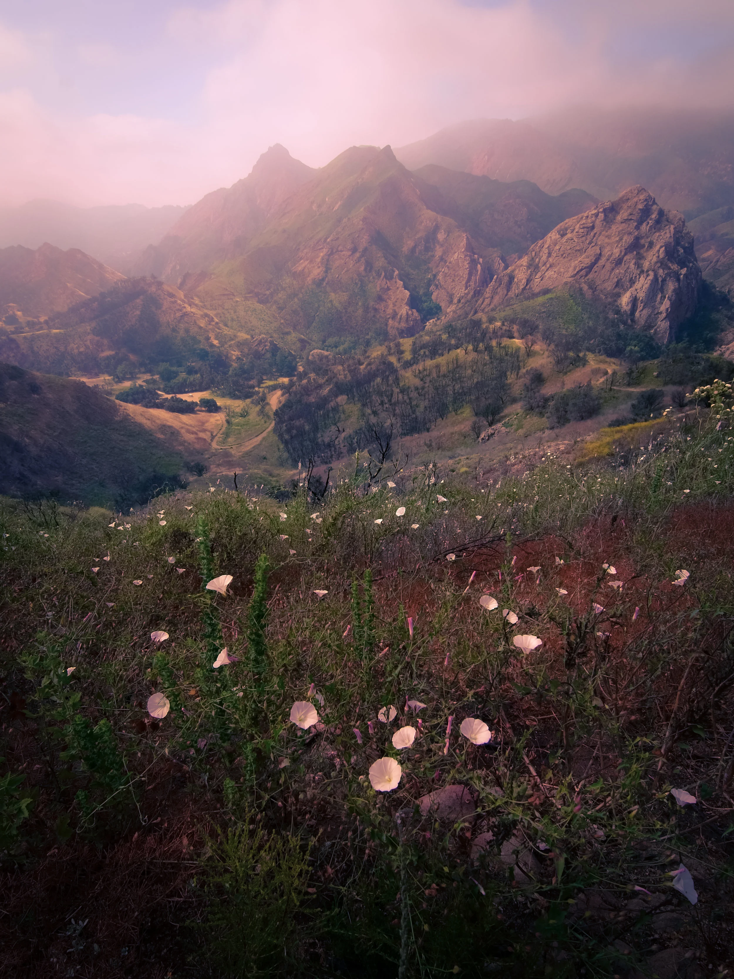 Morning Mist over Malibu
