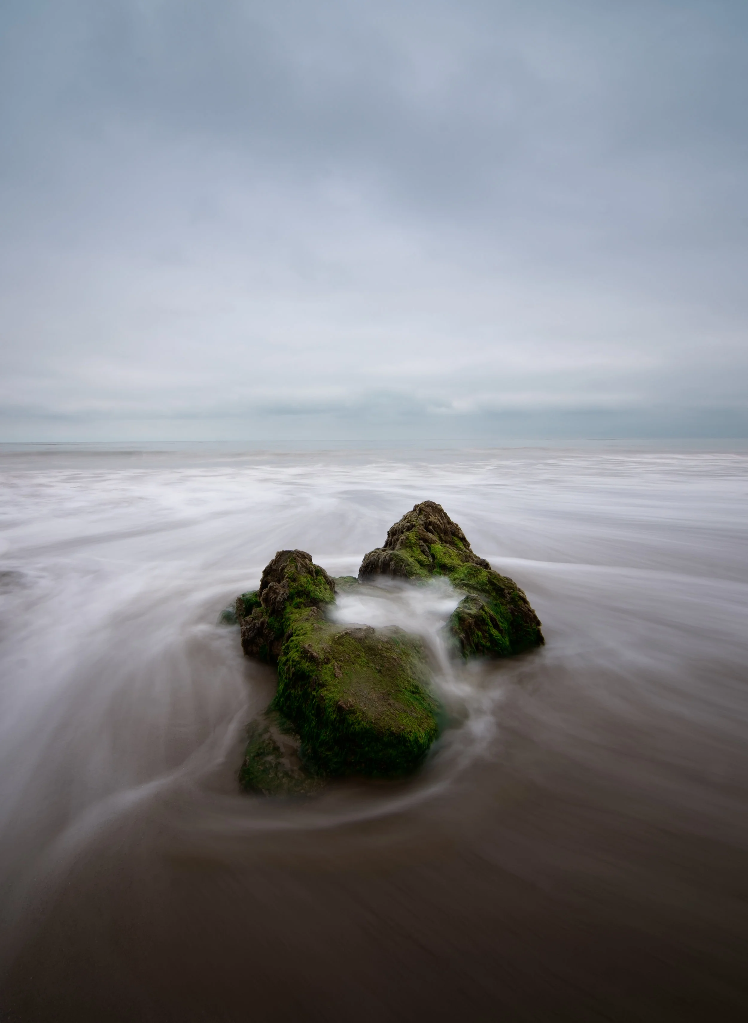 2019(06)Jun_Misc(2)_TidePool.jpg