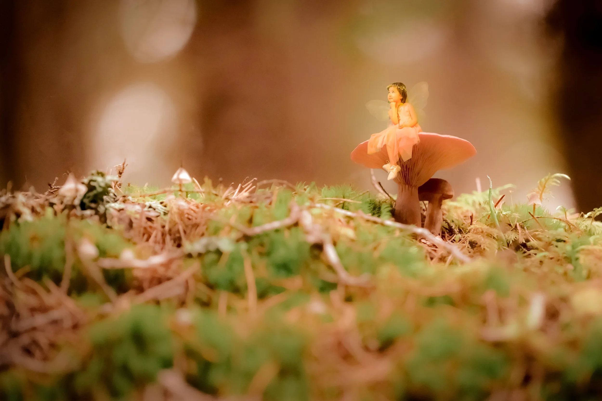 FaerieFinal_DSC5182 (1)-1-1.jpg