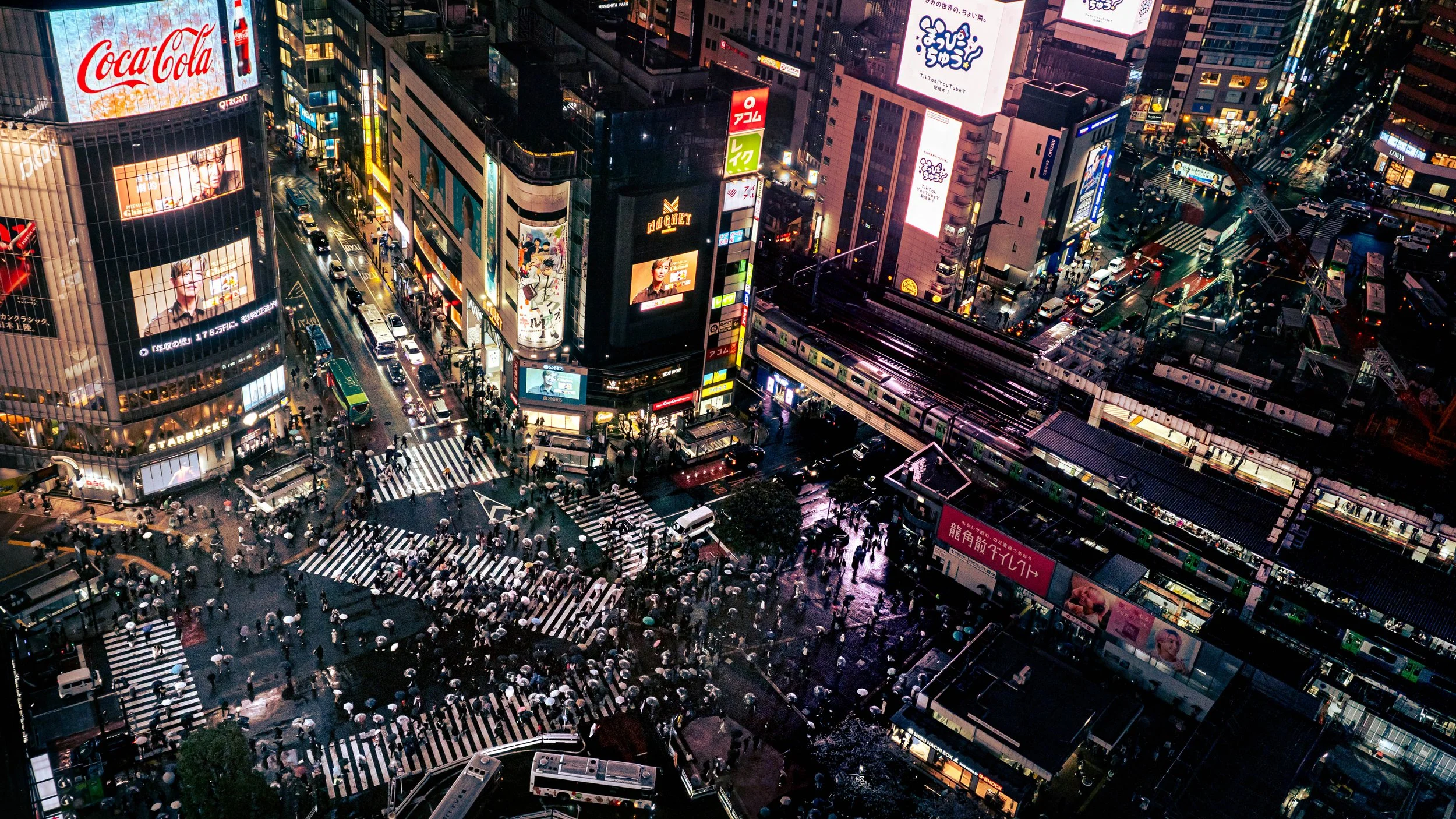 Shibuya Xing (Copy)
