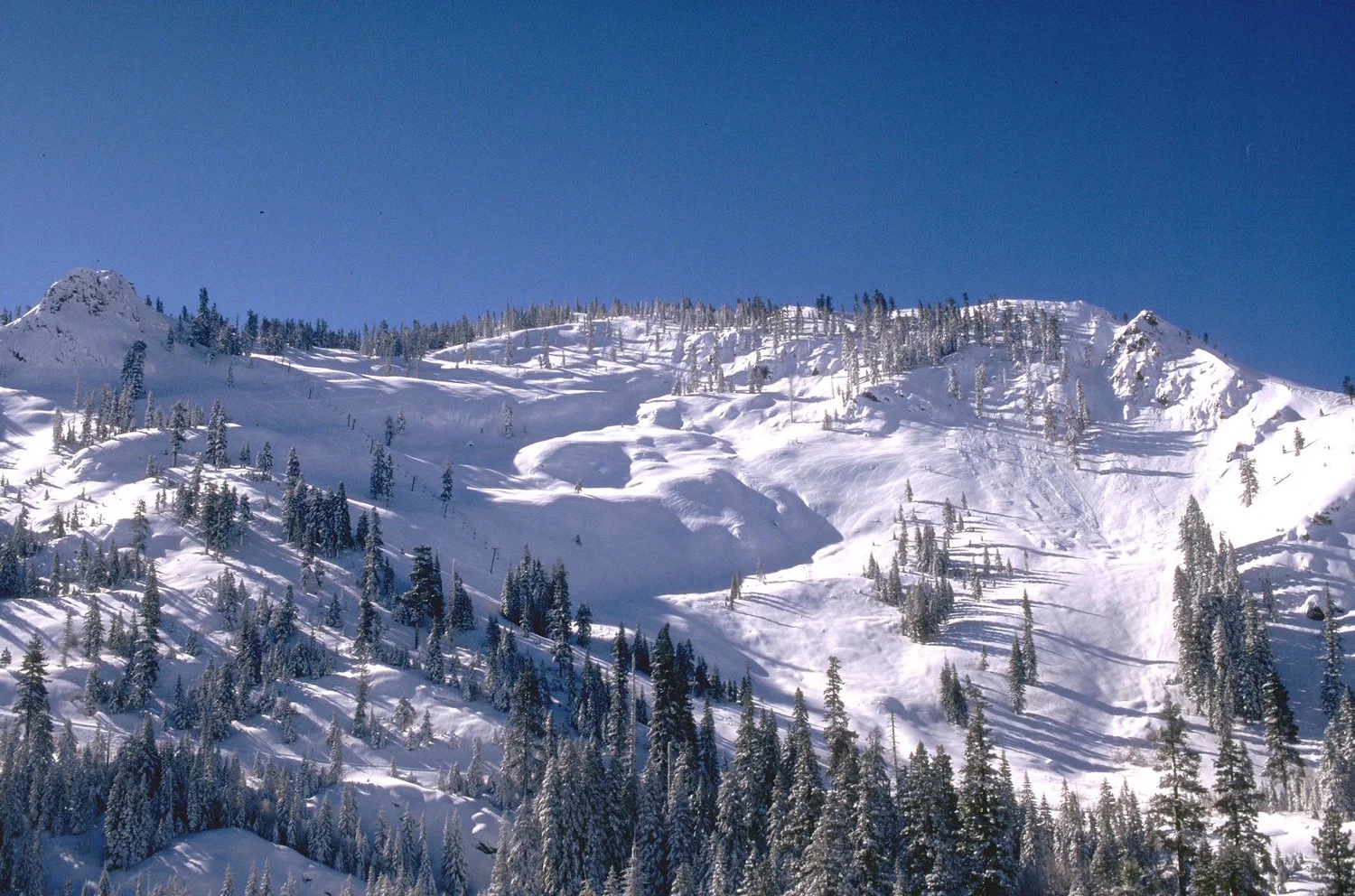 Bear Valley Ski Resort: About 44 minutes from Pinecone Hollow. The Ski Resort’s address is: 2280 state Rte 207, Bear Valley, CA