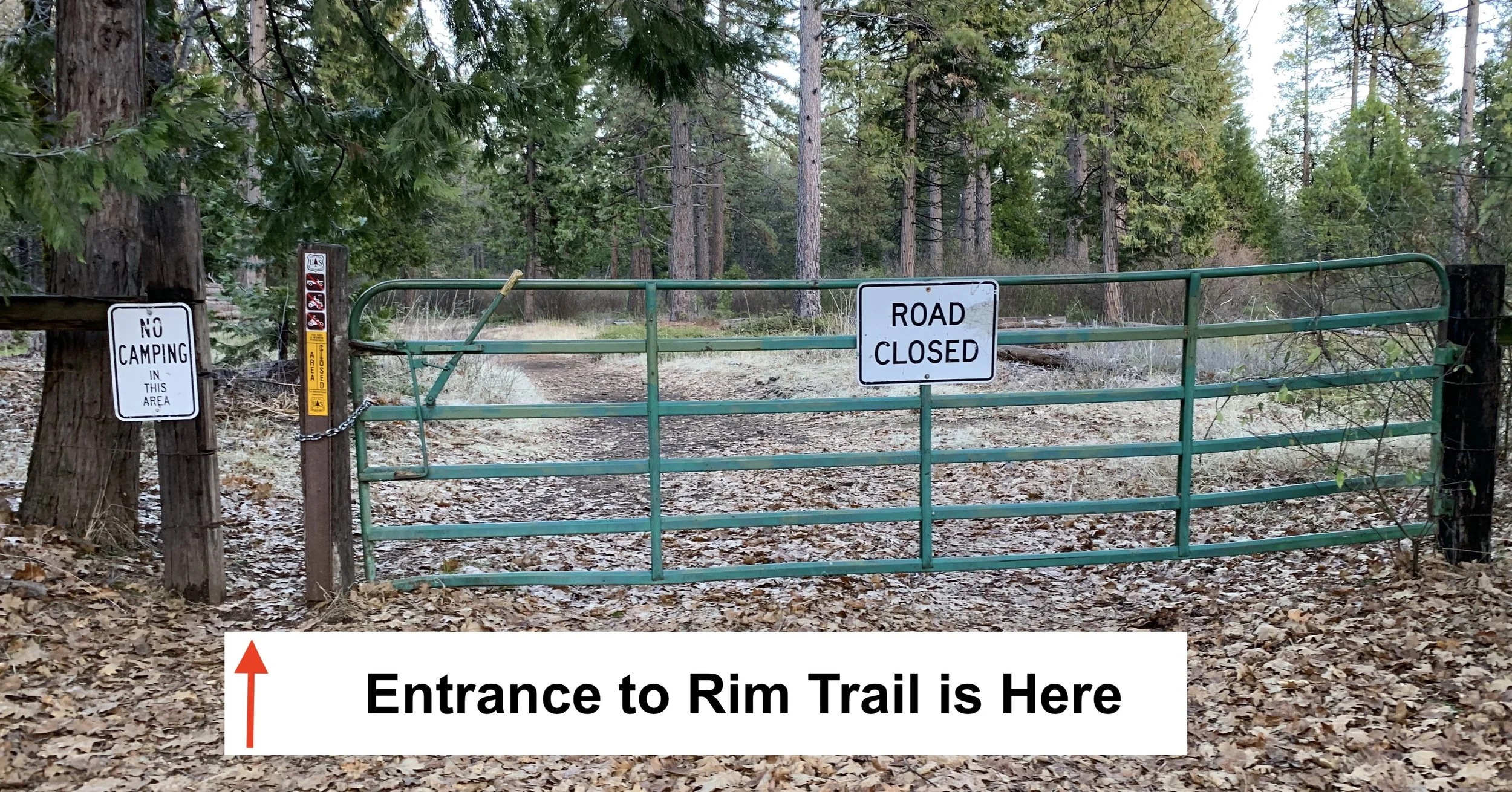 Pinecone Hollow’s Immediate Area Part 1: Access to Rim Trail: Access to the The Rim Trail is right up the street from Pinecone Hollow. Literally go right out of our driveway and walk to the top of the road (about 3 minutes). Thereat, look for the forestry road and enter. See part 2…