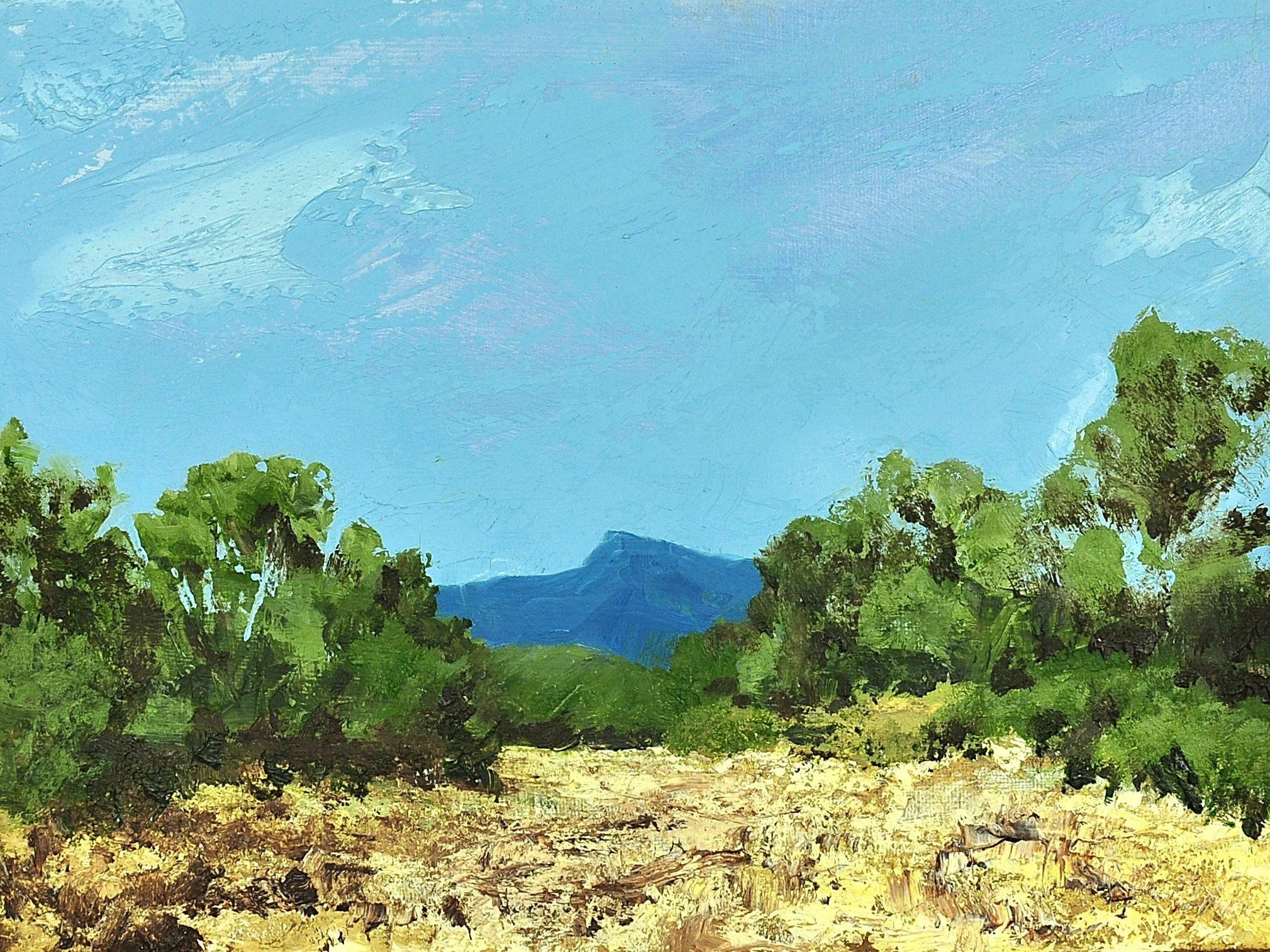 Paseo 1, an oil painting of sunlit ground between green trees leading towards a distant blue mountain beneath a turquoise sky.