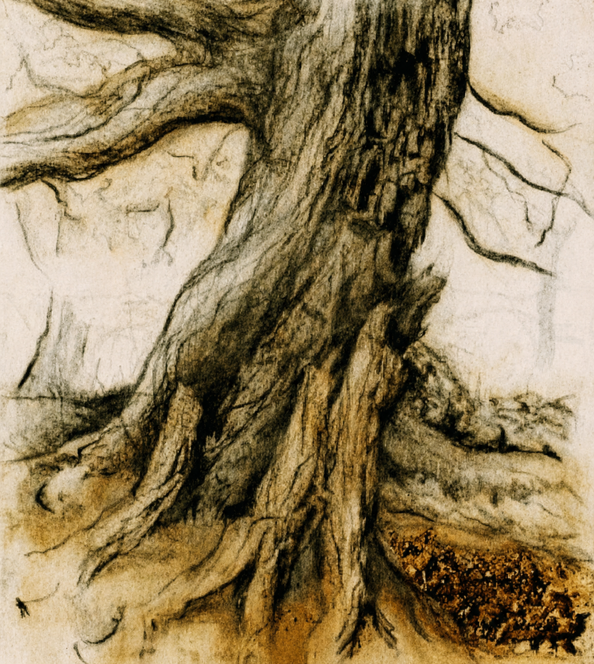 Expressive drawing of a mature tree trunk and exposed roots in charcoal, bark and warm earth pigments.